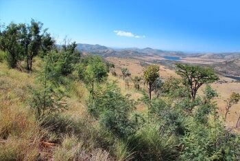 Pilanesberg Game Reserve, North West