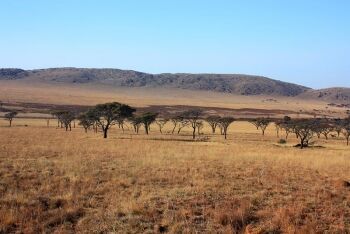 Kgaswane Mountain Reserve, Rustenburg, North West
